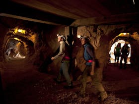 Explore the adit and stopes and learn about Cornish mining methods.