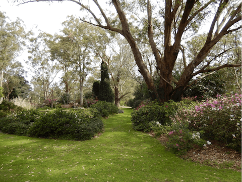 Botanische Gärten der Hunter Region
