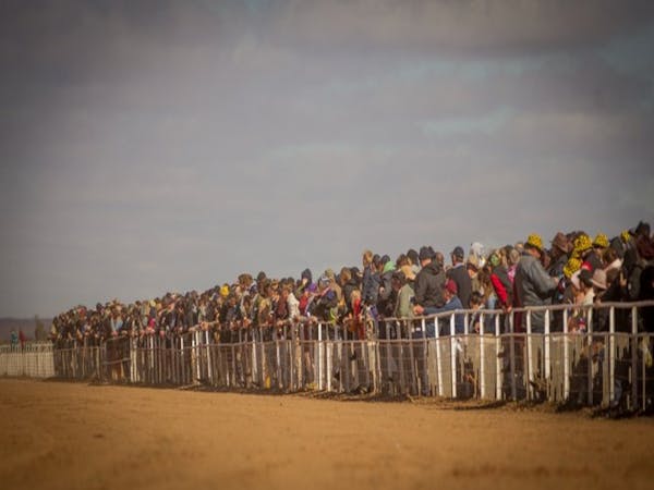 Louth Races