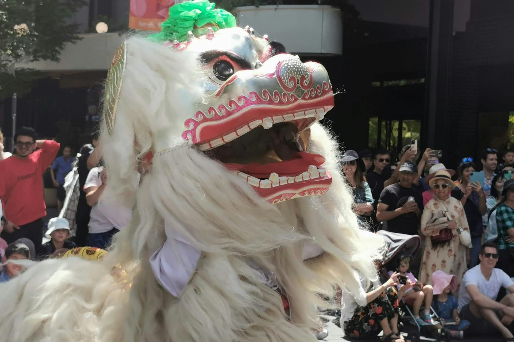 Canberra Dragon Dance Performance at Canberra Centre Lunar New Year