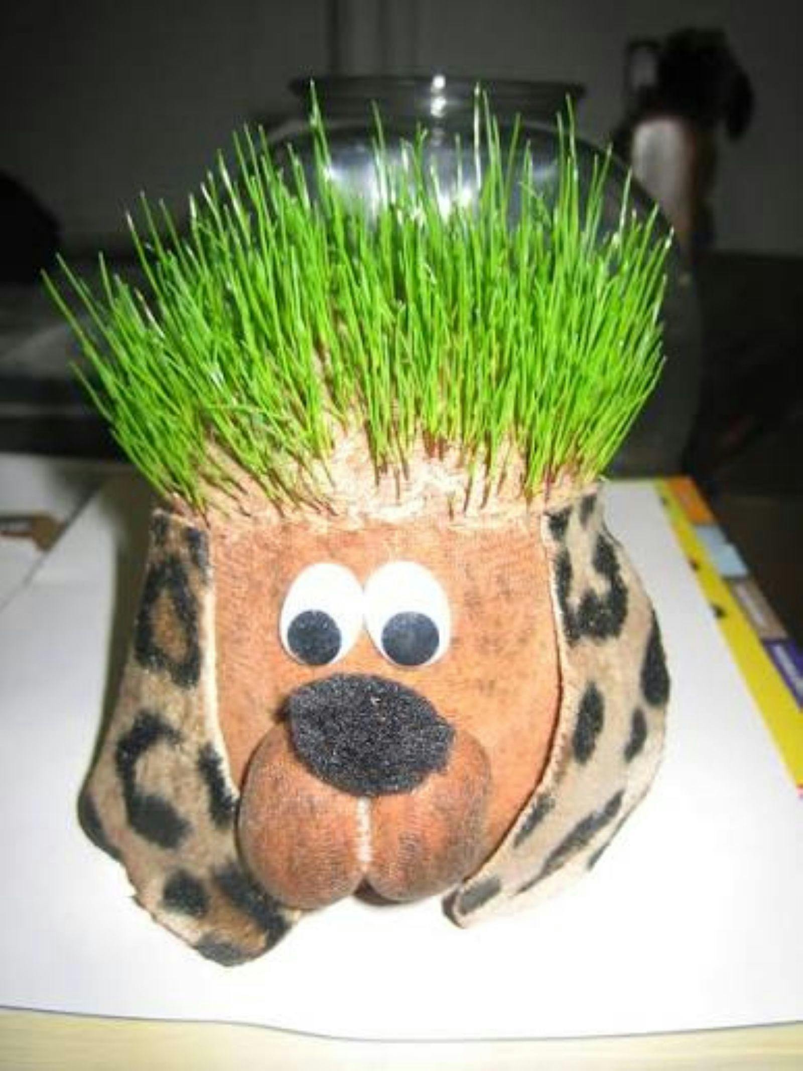 Image of Chia Seed Pet