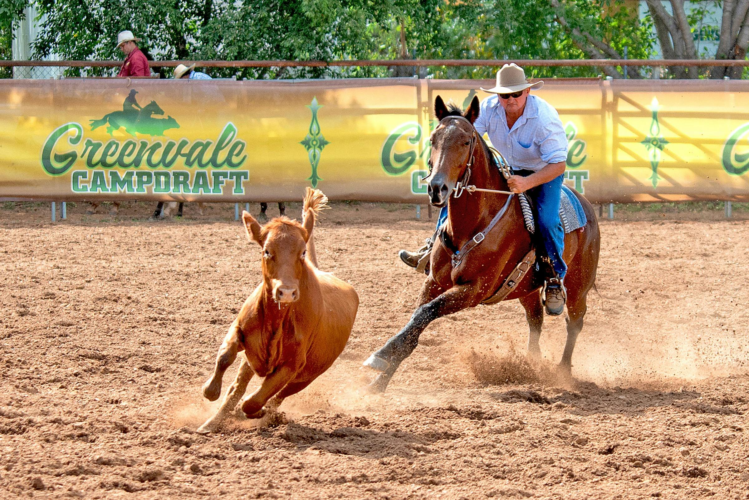 Campdrafting