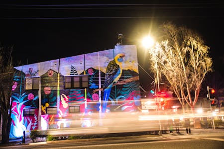 Public Art Wagga
