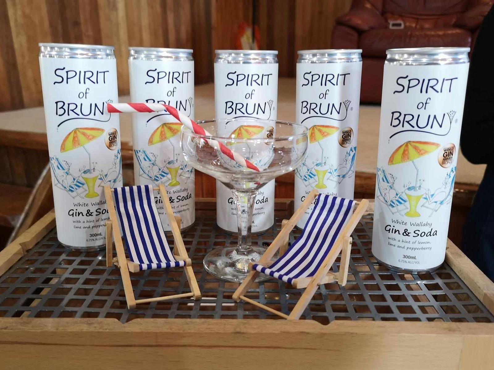 sample of Spirit of Bruny's Gin and Soda