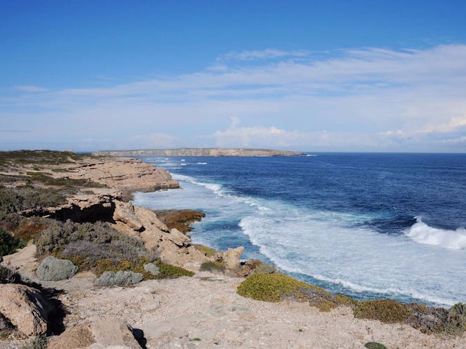 Southern Ocean Wildlife Adventure