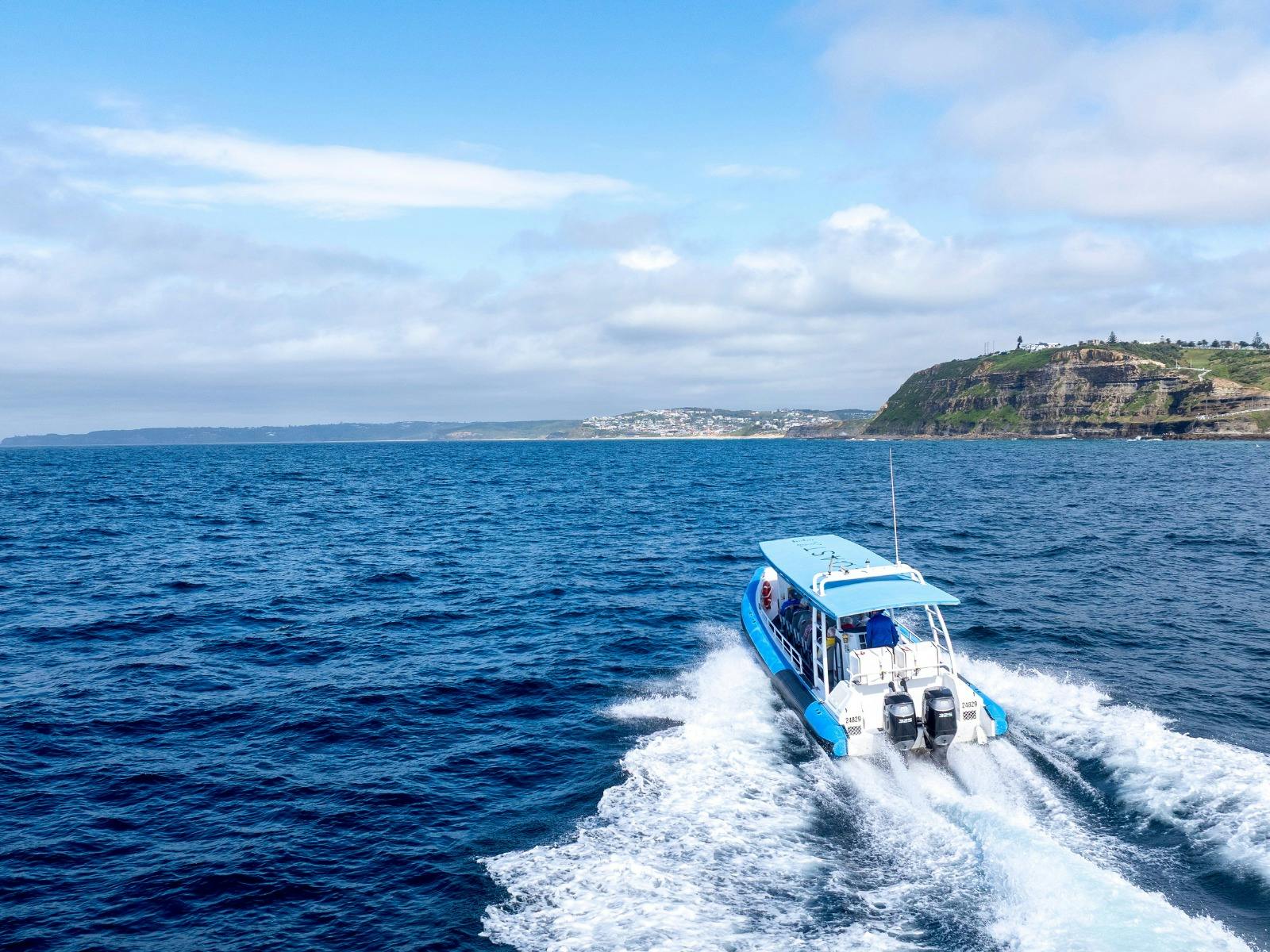 Boat touring along the coastline