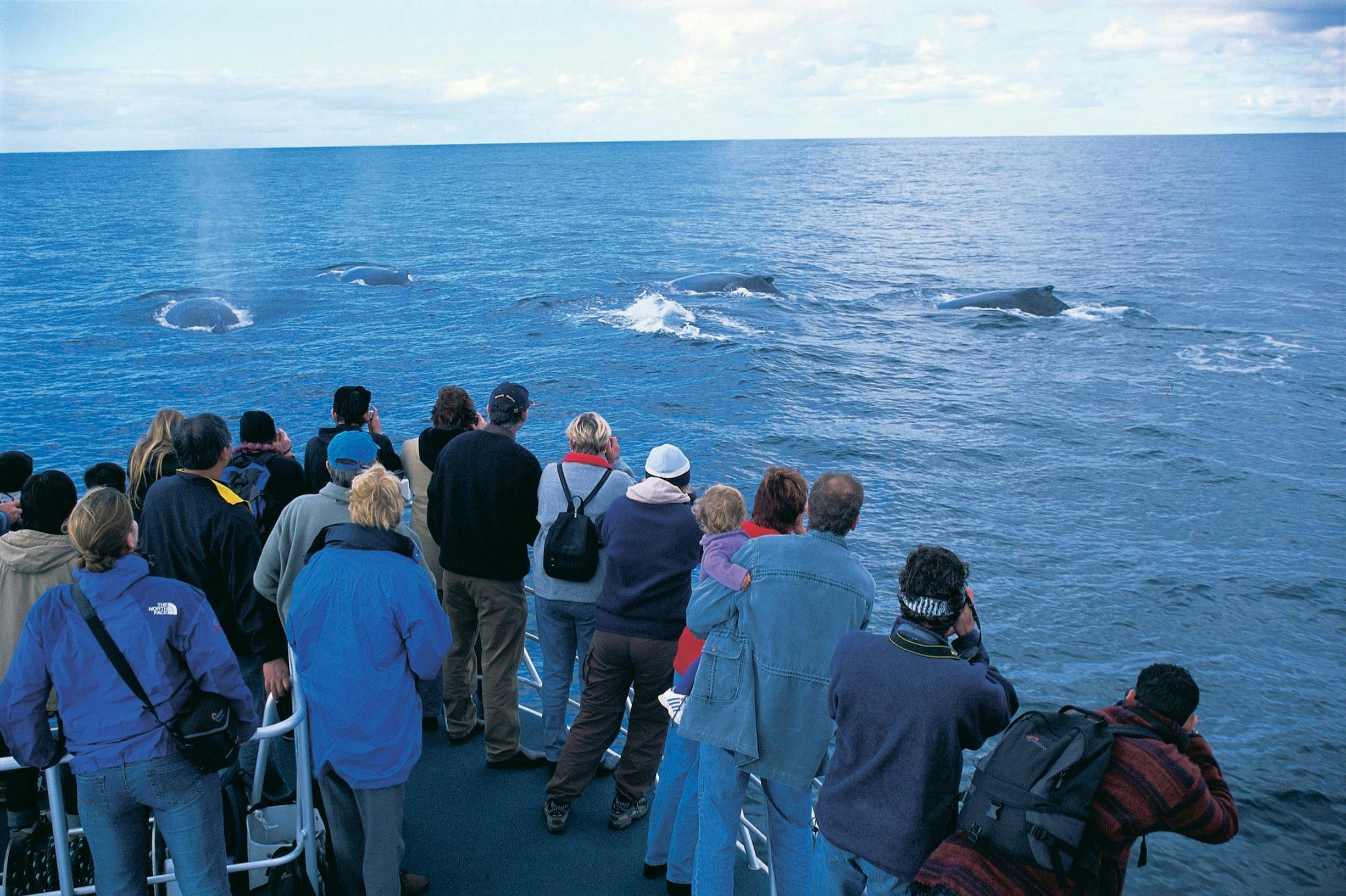 Best of the South West, Augusta, Western Australia