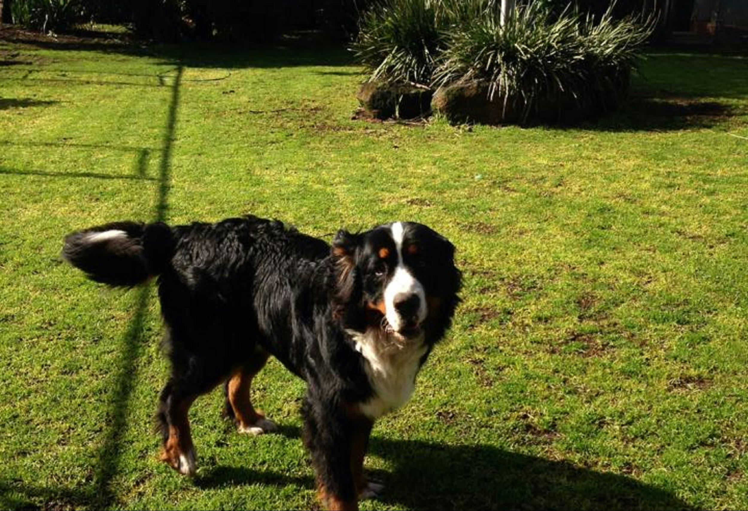 Port Fairy Lose yourself to the creativity of a communityPort Fairy