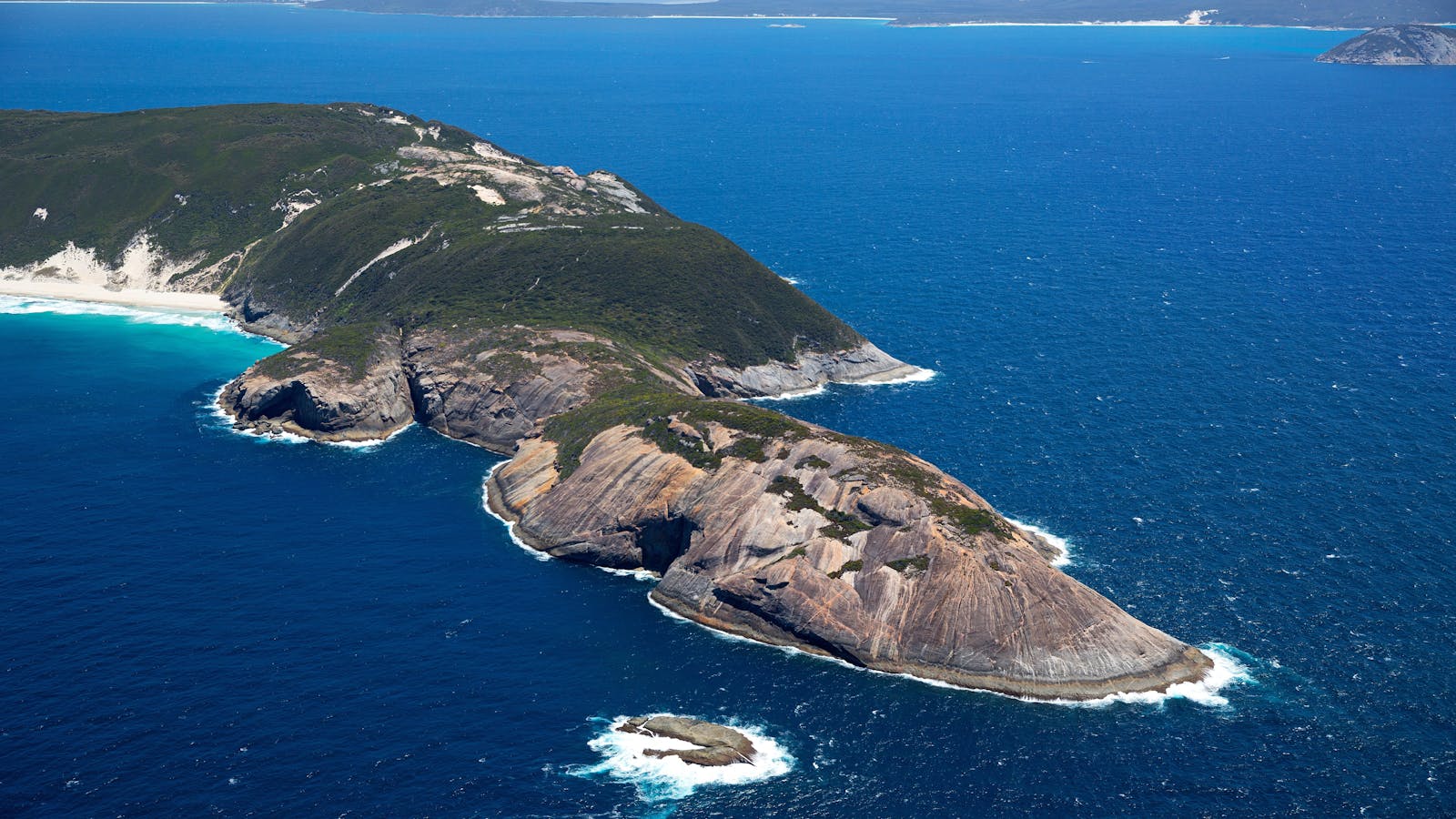 Bald Head Walking Track