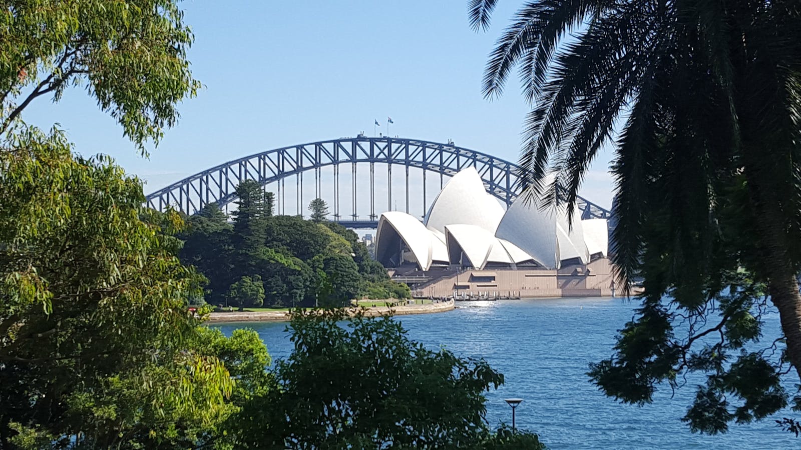 Sydney Royal Park
