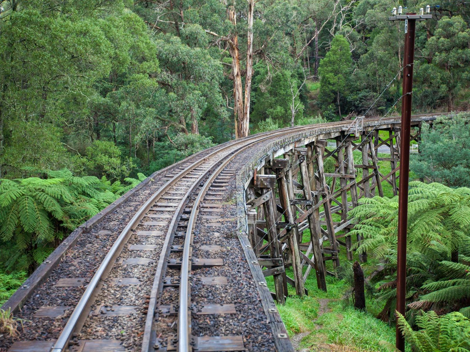Wooden railway tracks through the Dandenongs which Puffing Billy travels on