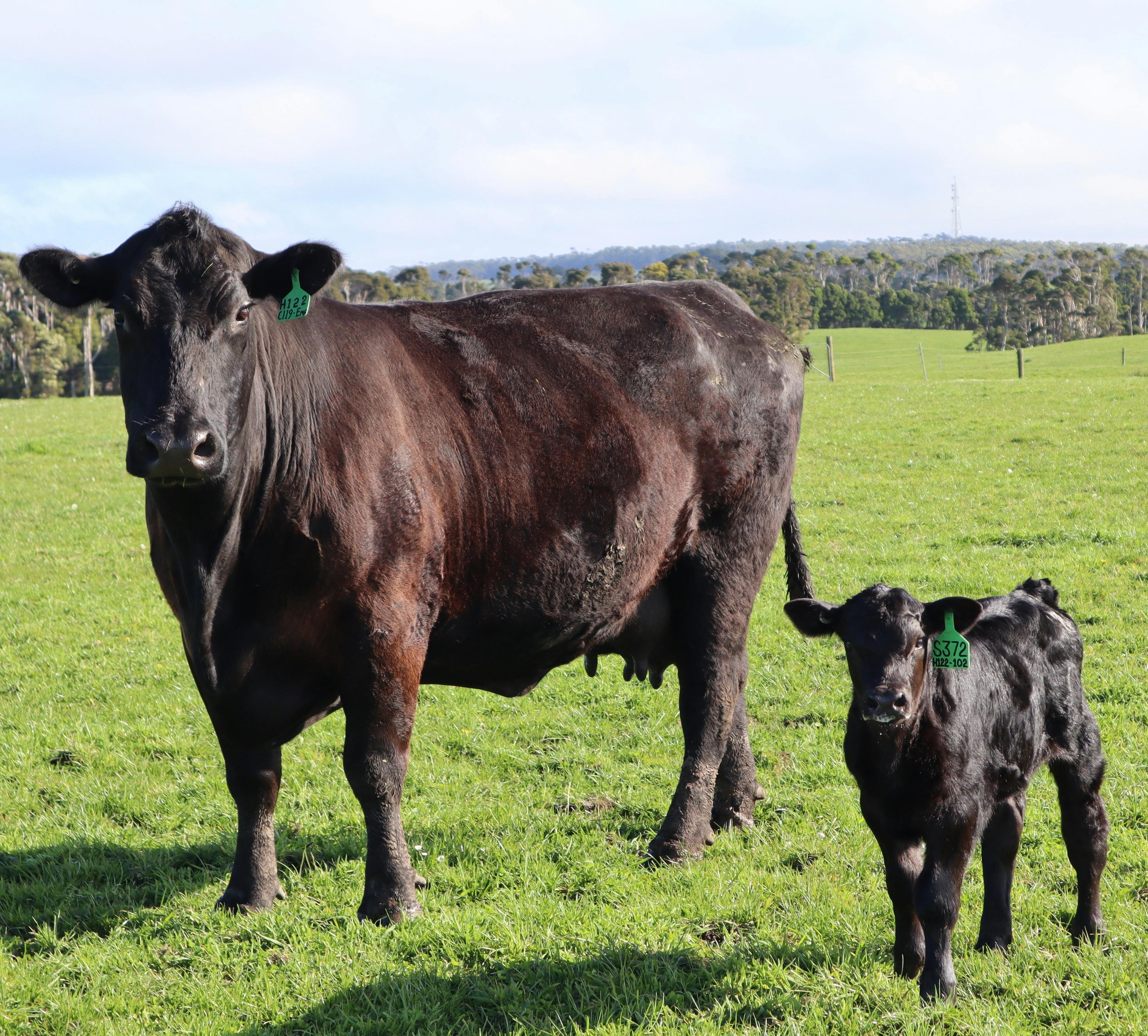 Two Twenty Two Farmstay