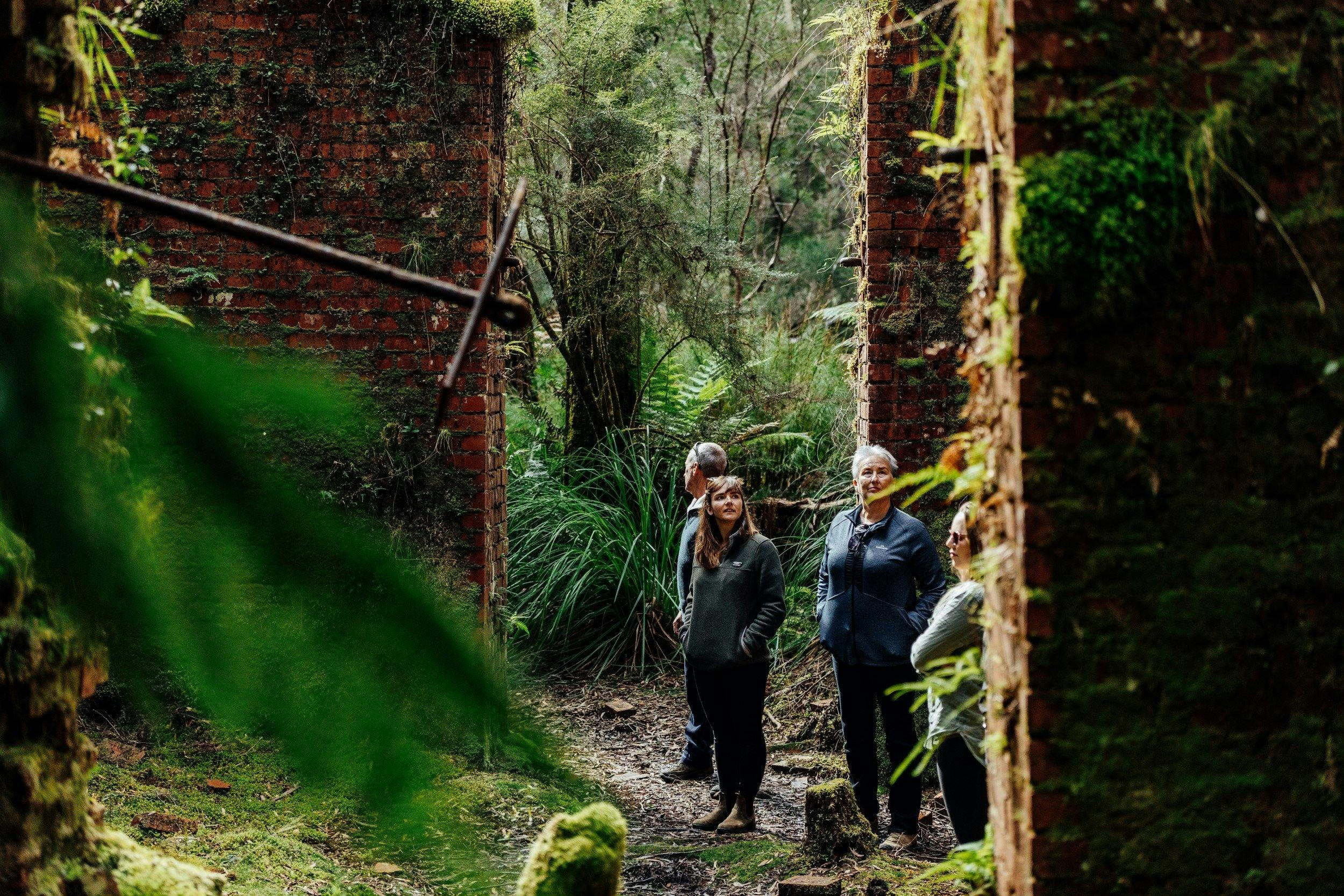 The Pillinger Explorer