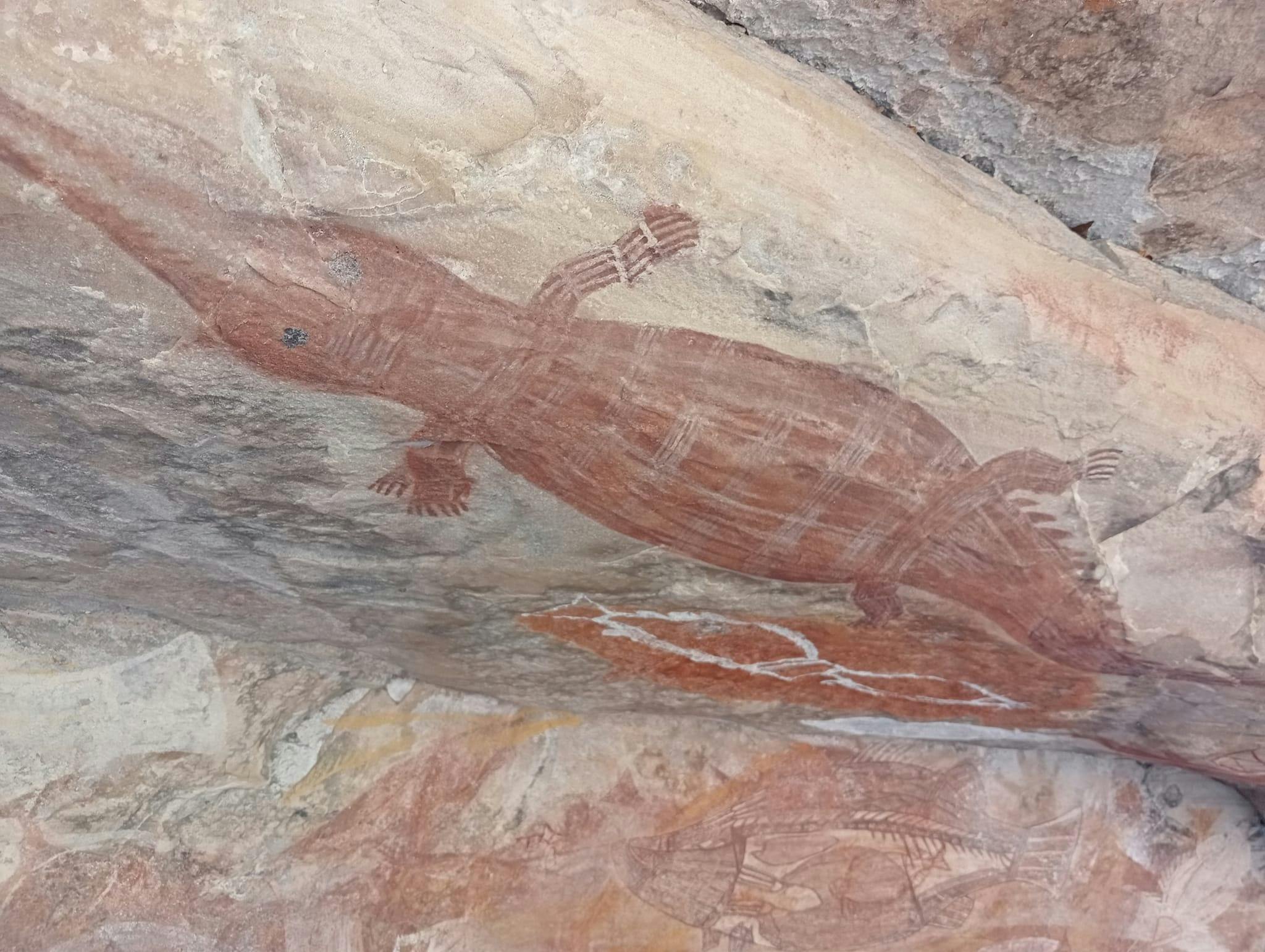 Crocodile, Ginga, Arnhemland, Indigenous Art, Rock, Art, NT, NT Driver Guide, Bespoke, Private, Tour