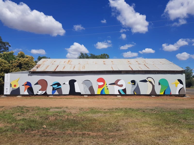 Caragabal Bird Art