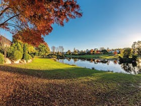 Quart Pot Creek, Stanthorpe