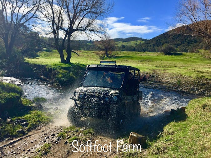 Softfoot Alpaca Farm