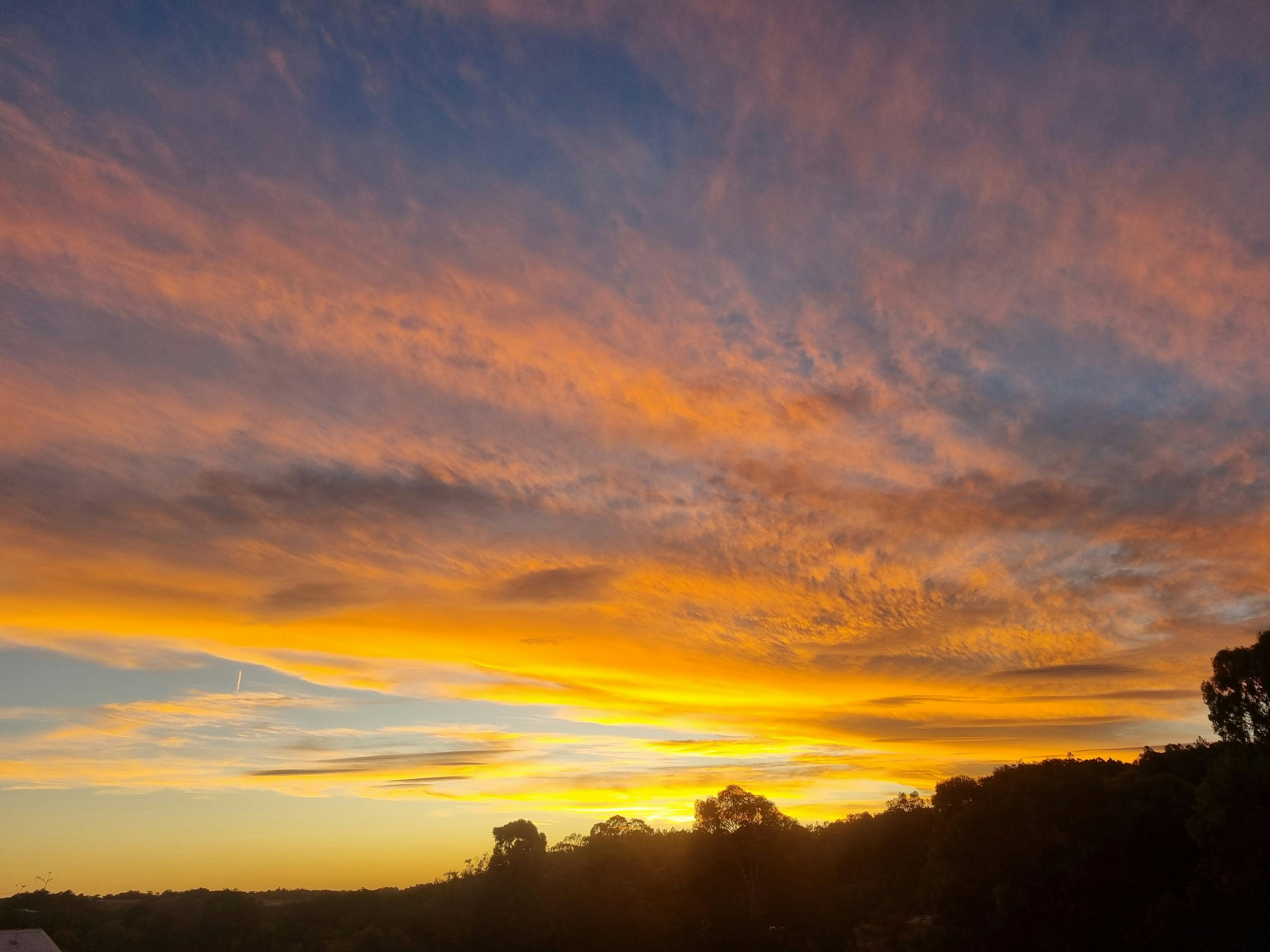 Views from King Suites