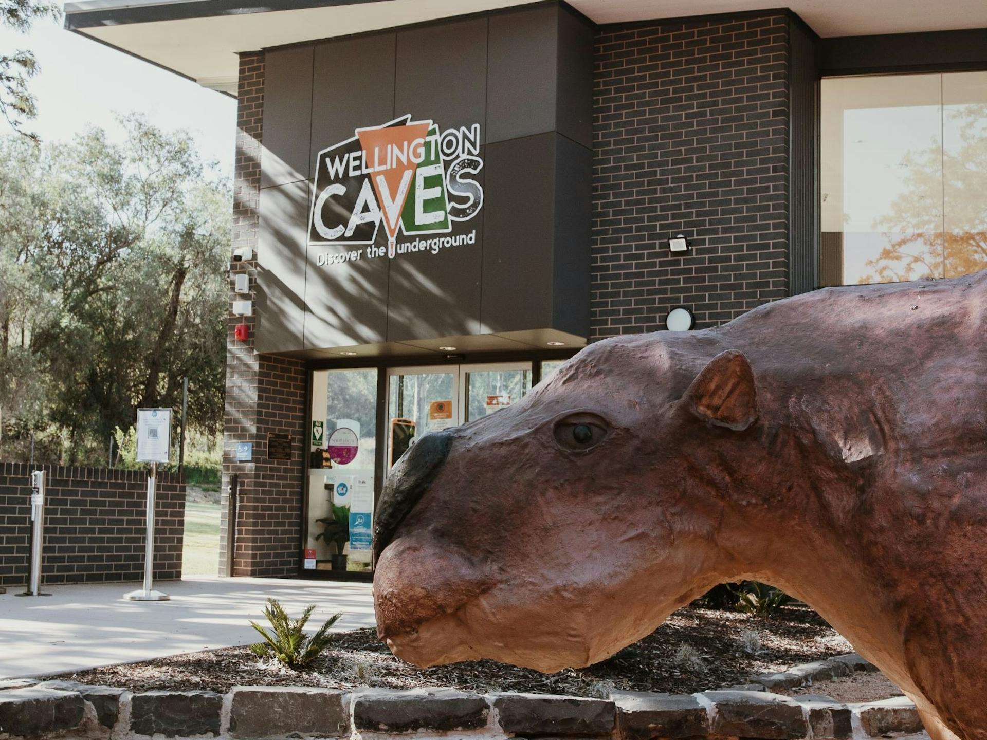 Wellington Caves in Apsley - The Fold: Your Guide to Everything ...