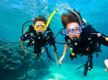 scuba diving on the great barrier reef near port douglas