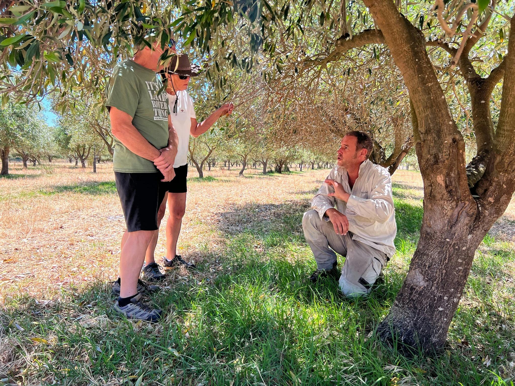 Half Day Tour - Backroads Trail