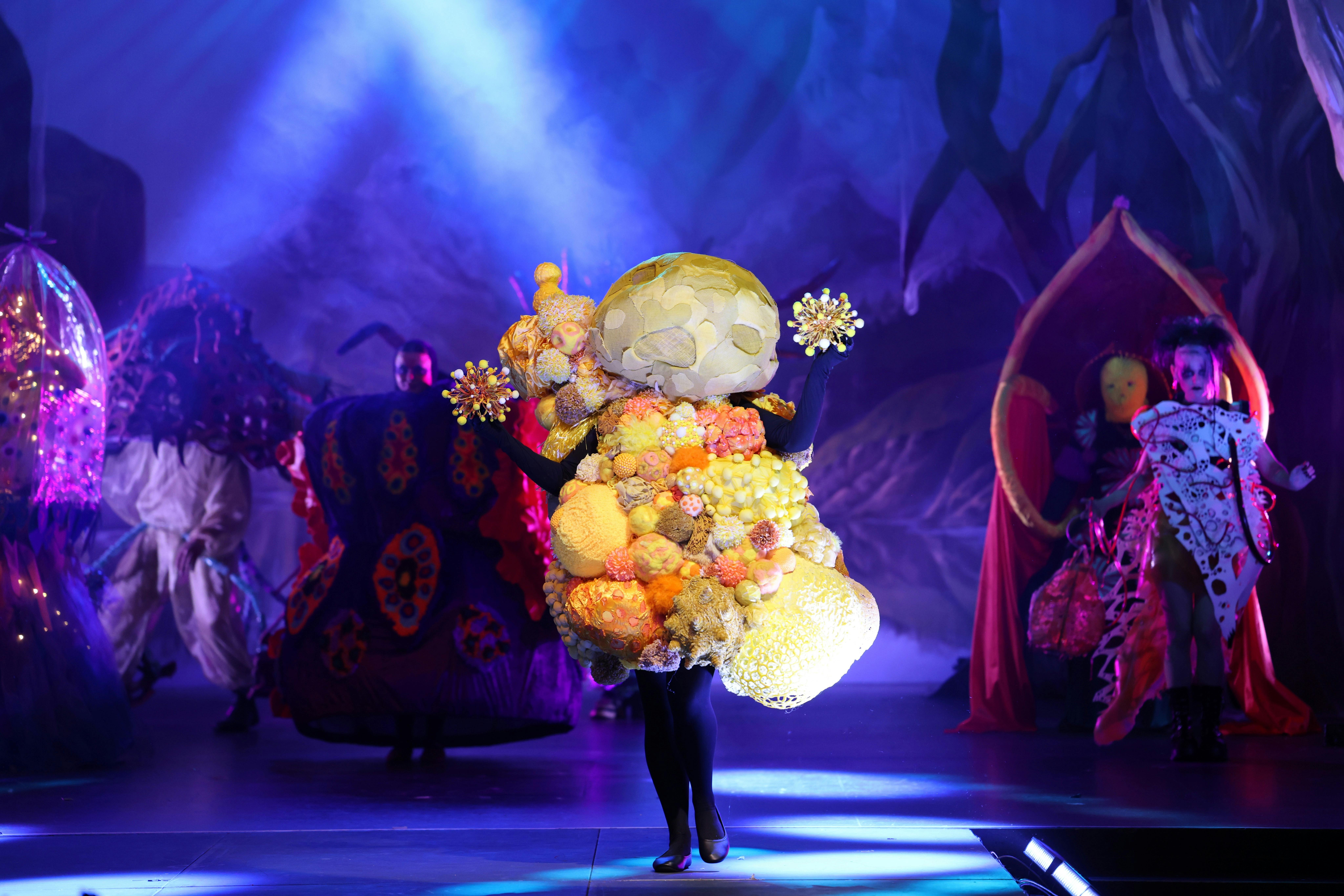 Sydney Wearable Art Gala