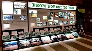 Nangwarry Forestry and Logging Museum