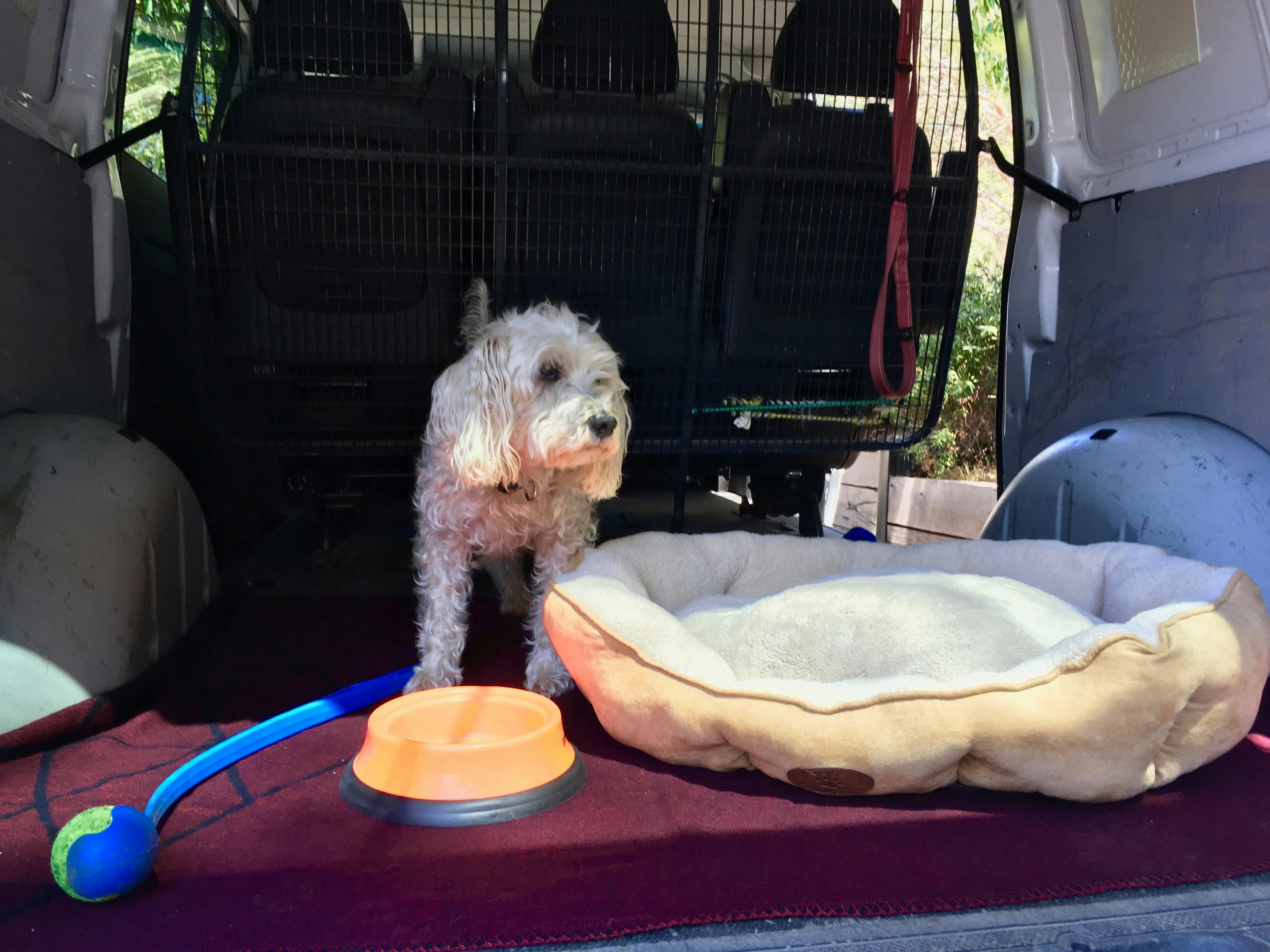 Pooches travel in style with their own bed in our Mercedes van