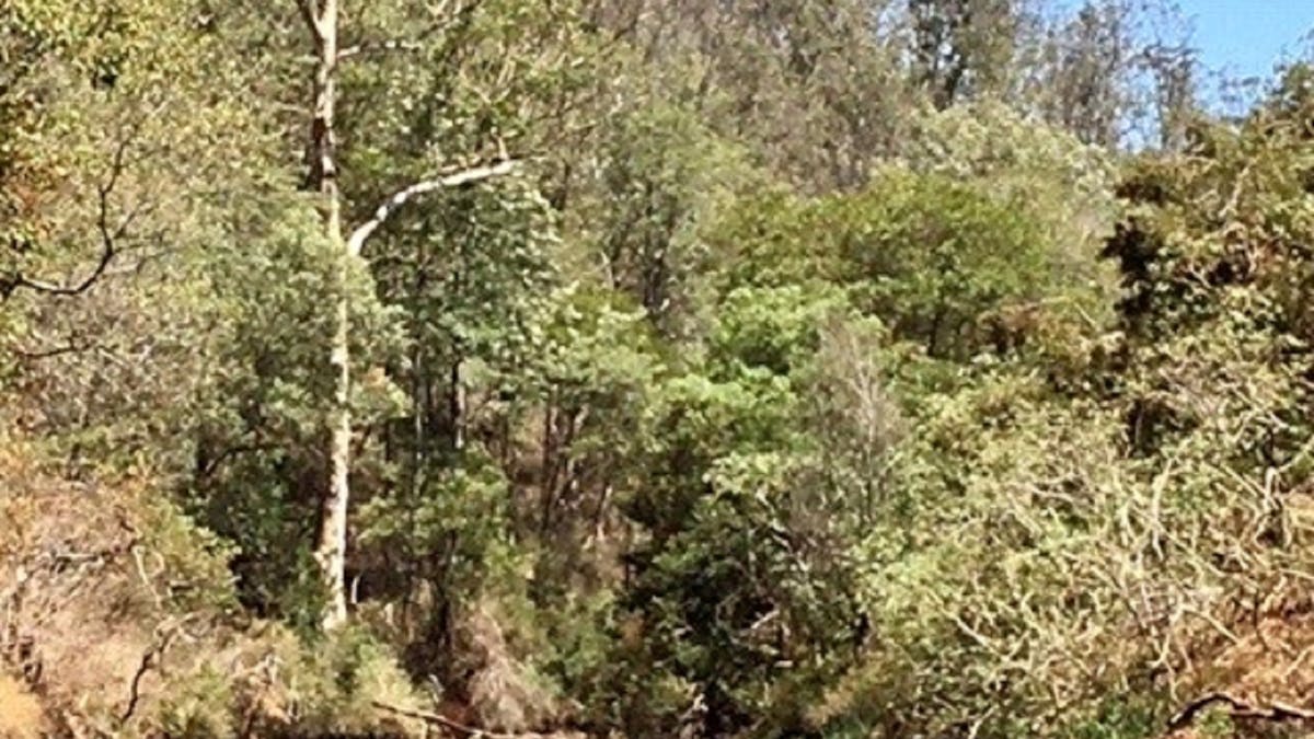 The little water hole on Yabba Creek within walking distance from Jimna Base Camp