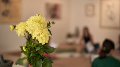Flow Yoga Canberra