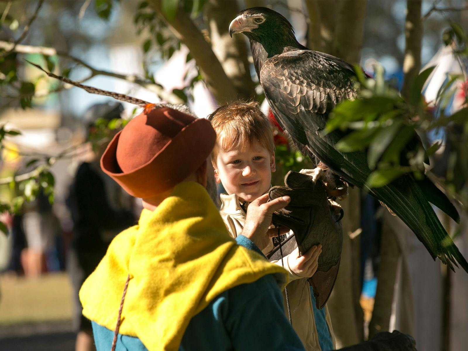 Experience a Bird of Prey Encounter