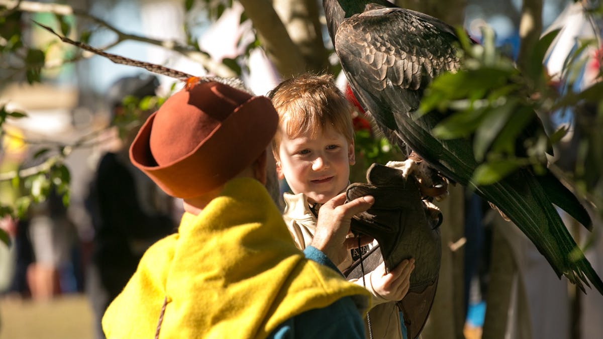 Child meets a Bird of Prey