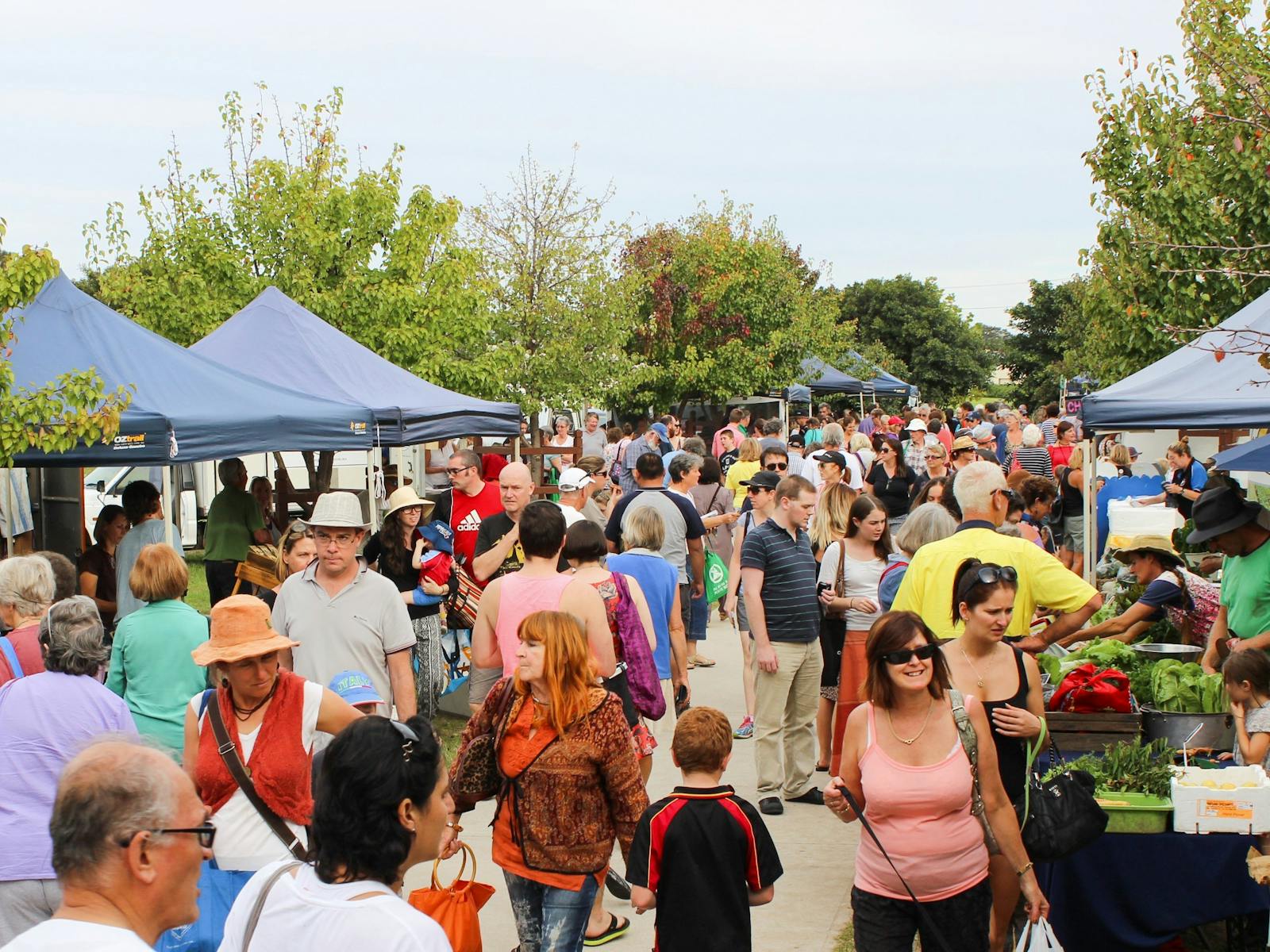 Image for SAGE Farmers Market Moruya