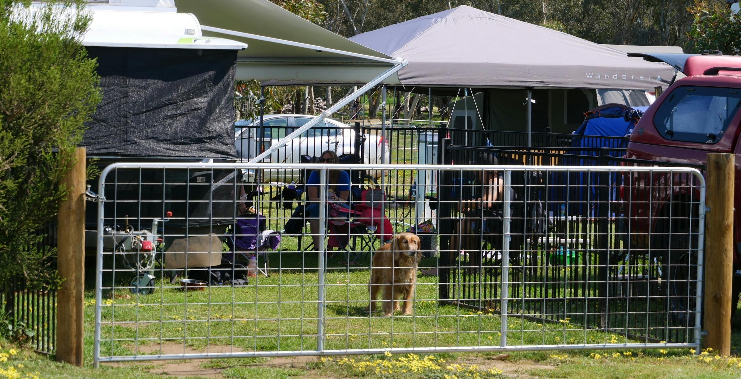 Fenced Pet Friendly Powered Camping Site