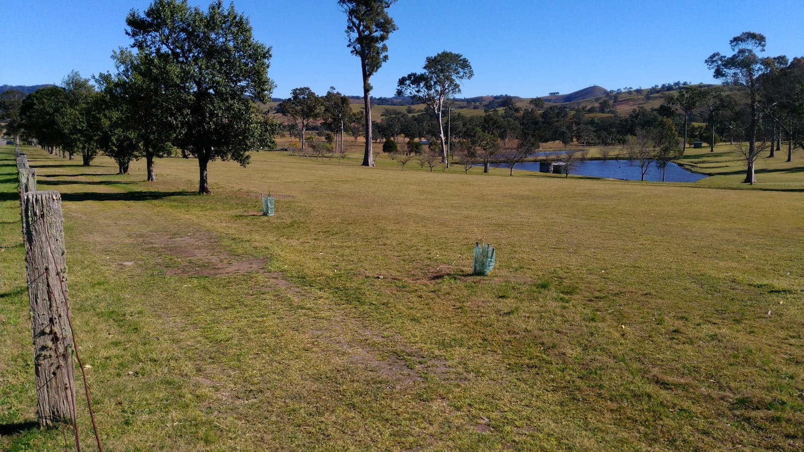 Dungog and District Golf Club