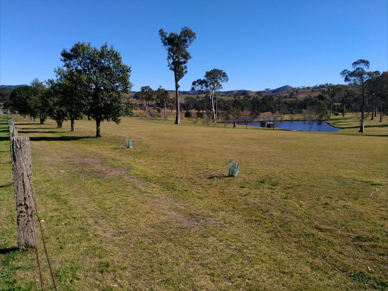 Dungog and District Golf Club NSW Holidays & Things to