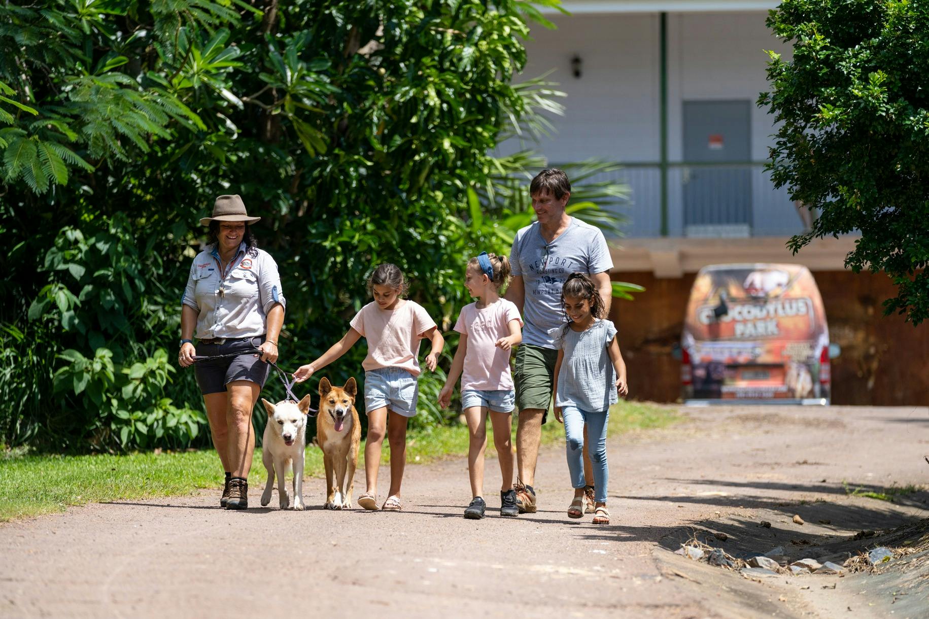 Dingo Encounter