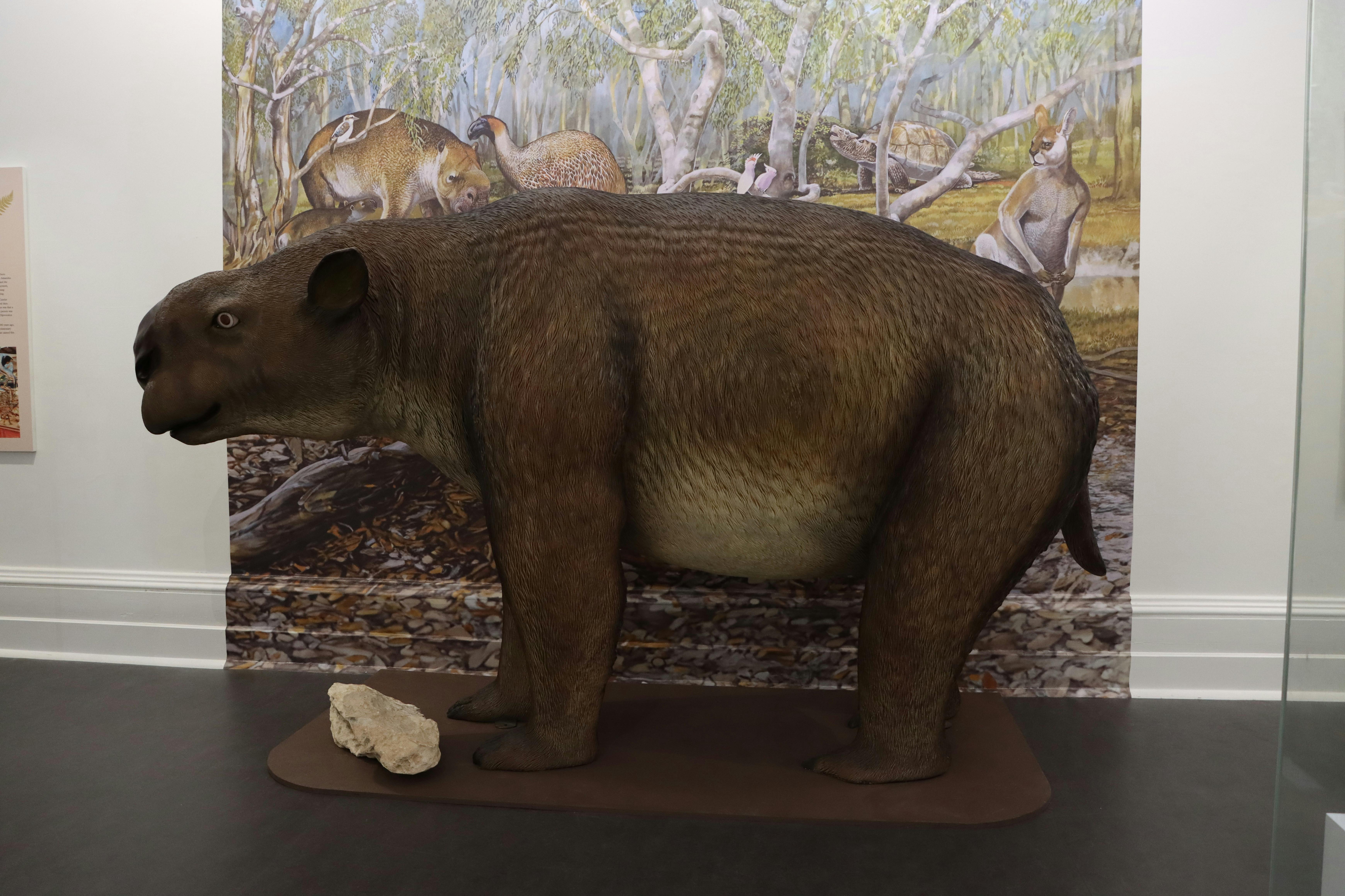 The Nature of the Hidden World: A Mega Story