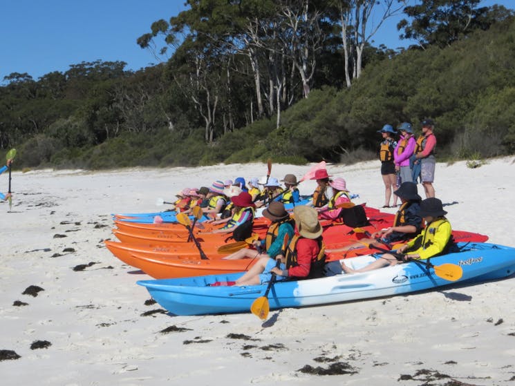 Huskisson Kayak Tour