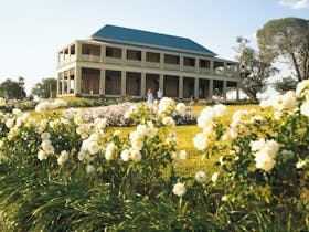 Gourmet Country Escape - Brisbane to Stanthorpe and Toowoomba