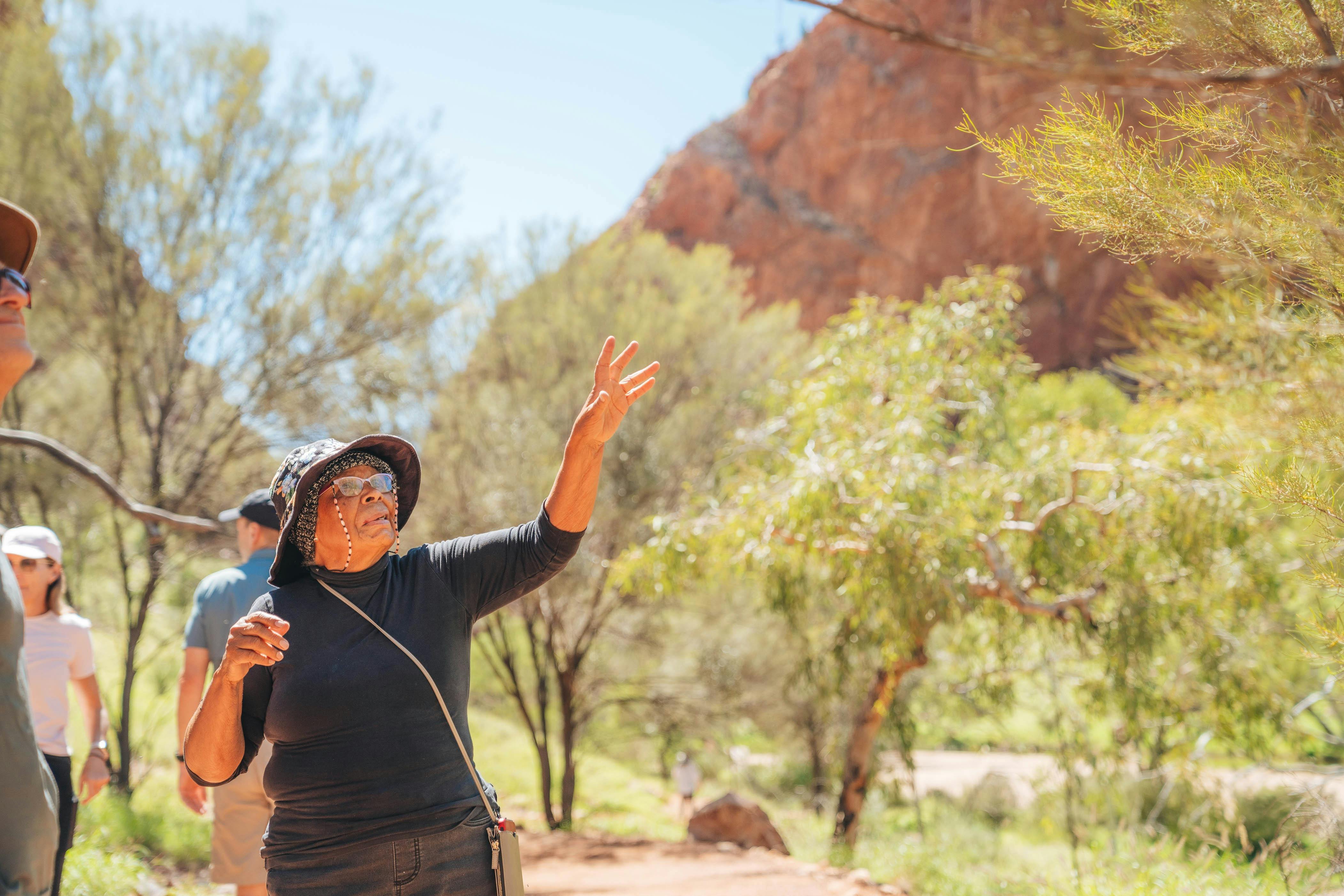 Larapinta Signature Walk