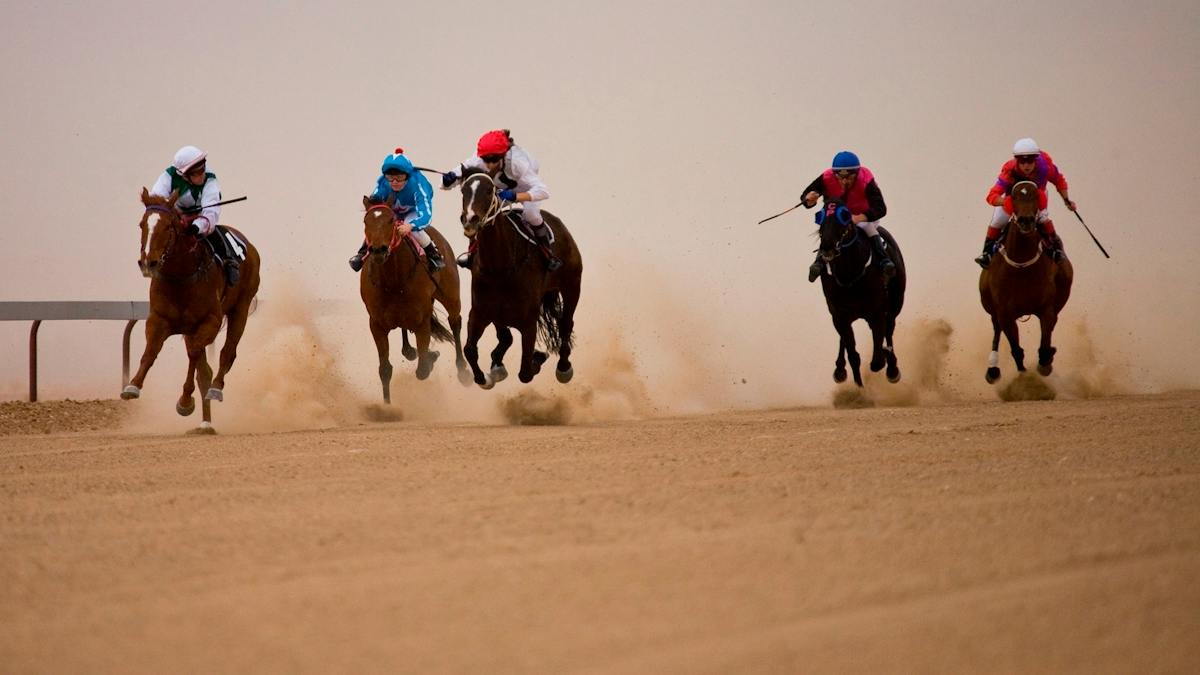 Betoota Races | Events | Queensland