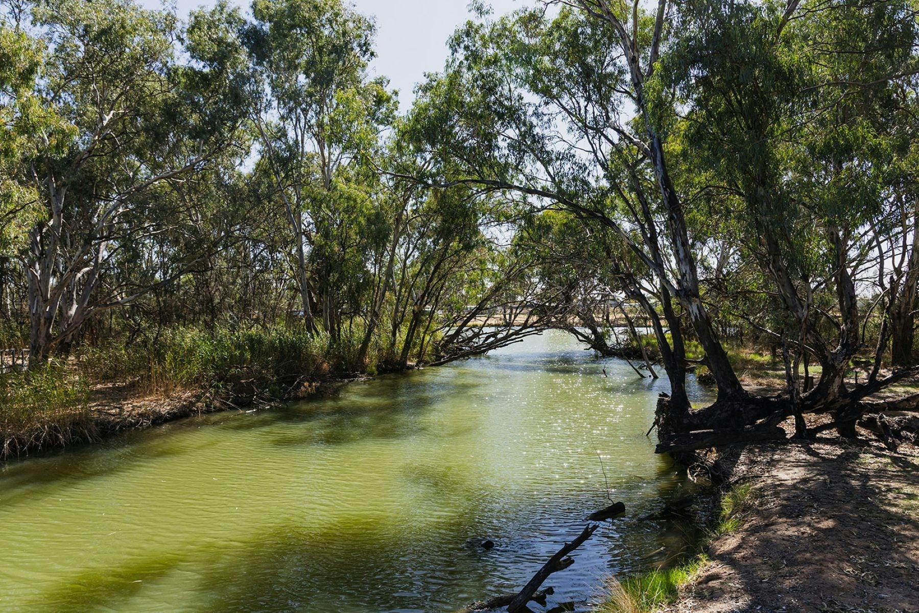 River picture from Island