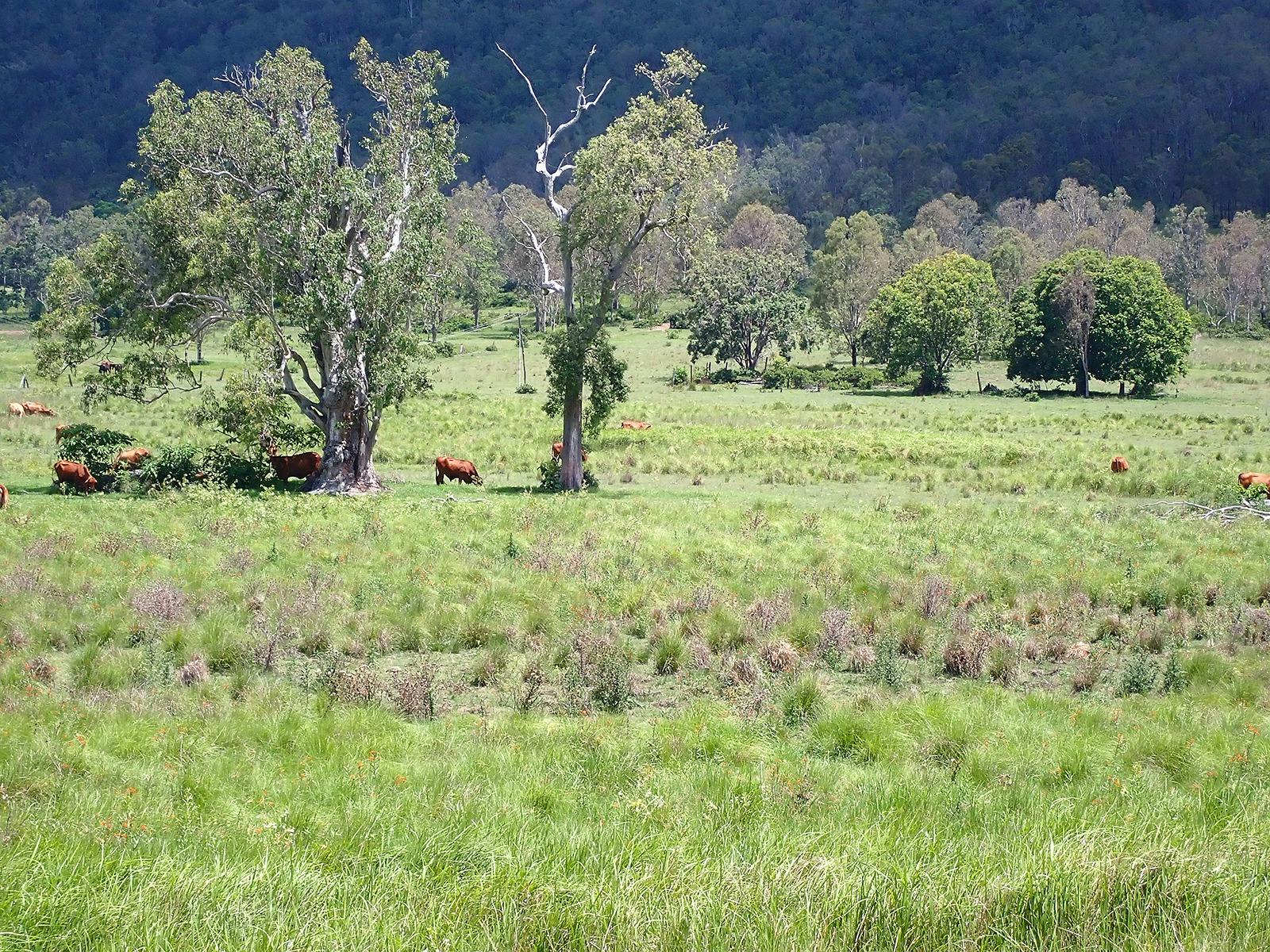 Lush green farmland with Kettle