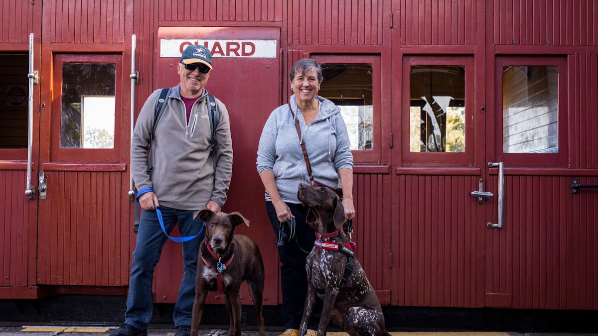 Mary Valley Rattler - Pets on Board
