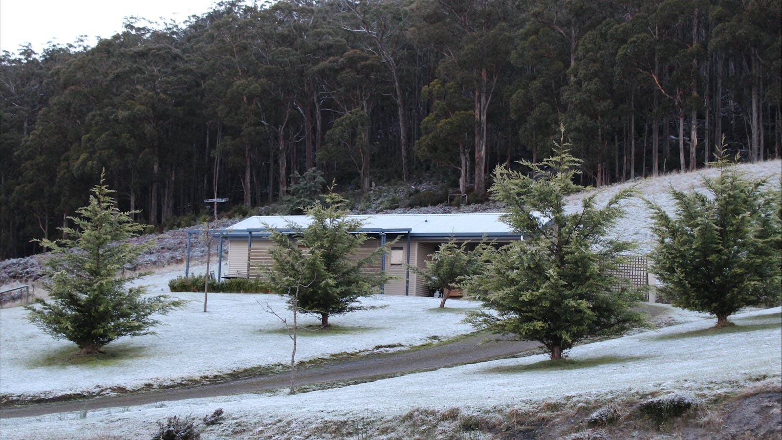 A couple of times each year Cherryview can expect to get a cover of snow.