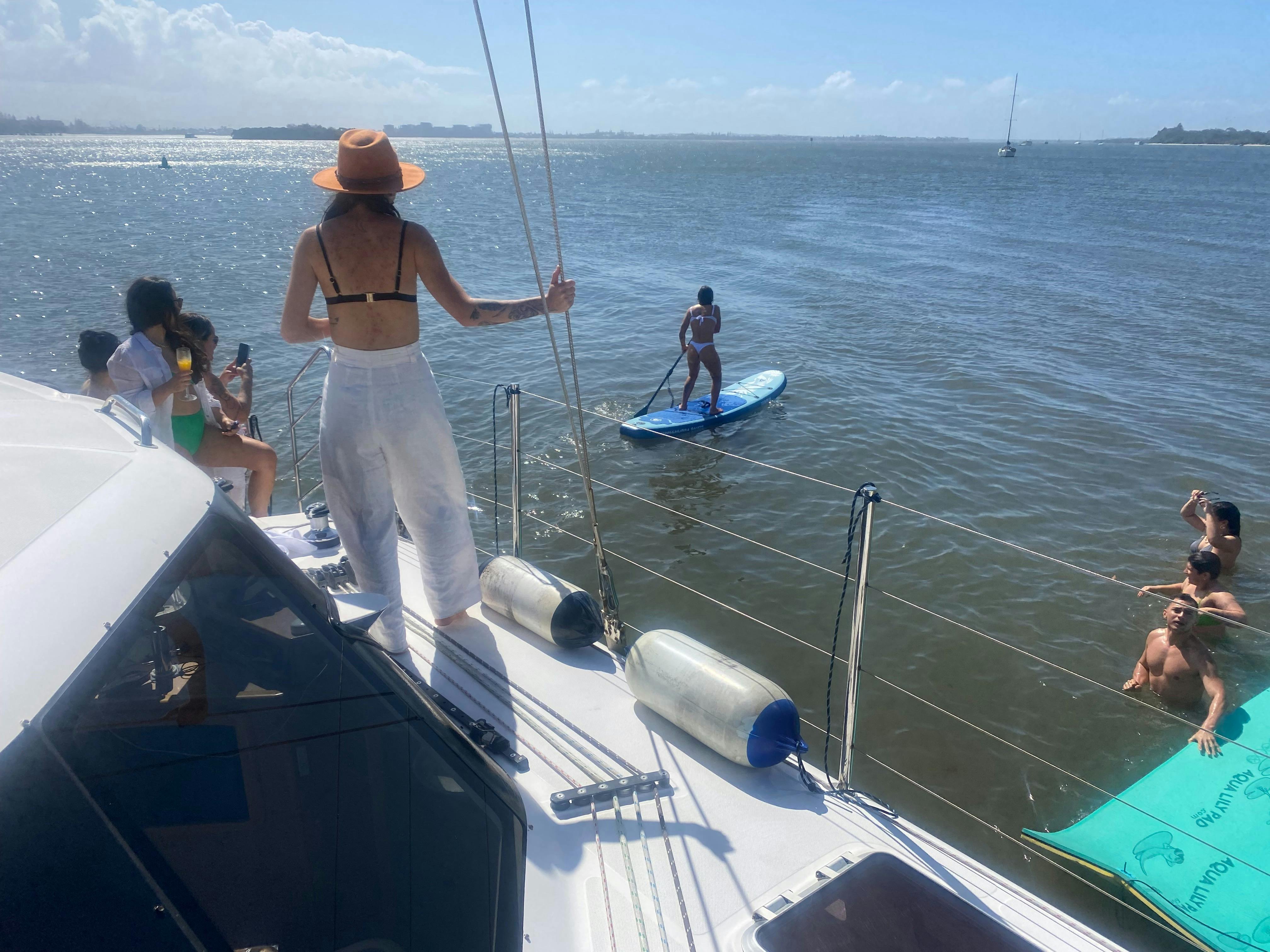 Paddleboarding on the Horizon Cat