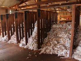Classed wool ready for pressing