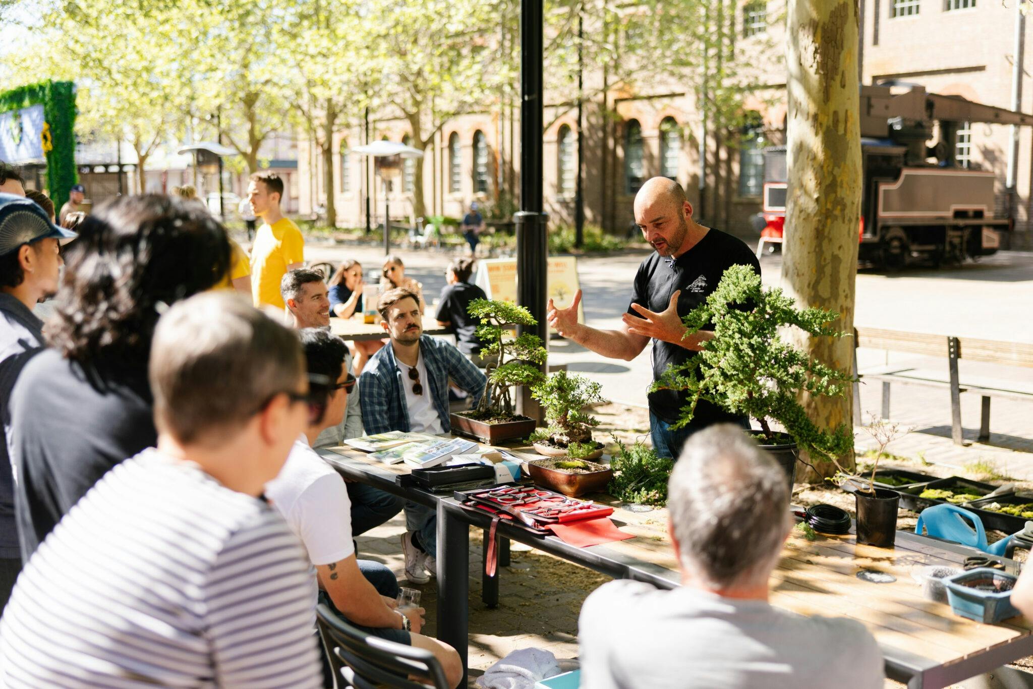 bonsai & brews experience