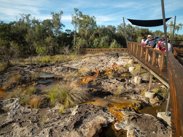Talaroo Hot Springs Tours